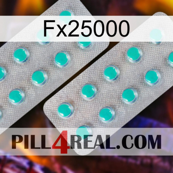 Fx25000 29.jpg